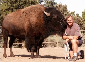 Rosen and Charlie, the buffalo